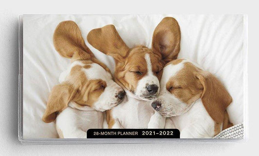 2021 28-Month Planner: Puppies