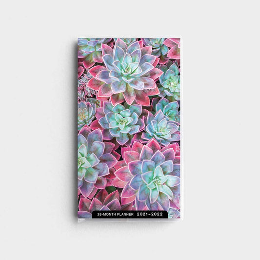 2021 28-Month Planner: Succulents