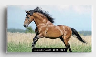 2021 28-Month Planner: Horses