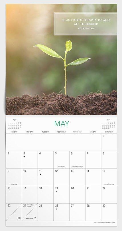 2021 Mini Wall Calendar: Psalms