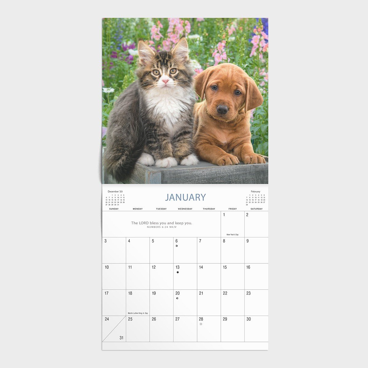 2021 Mini Calendar: Whiskers & Paws