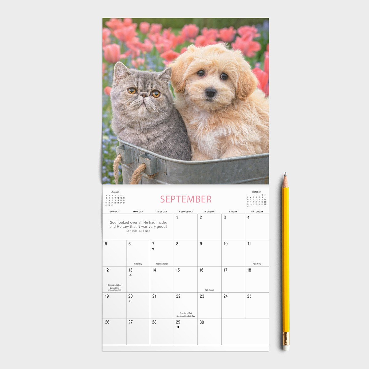 2021 Mini Calendar: Whiskers & Paws