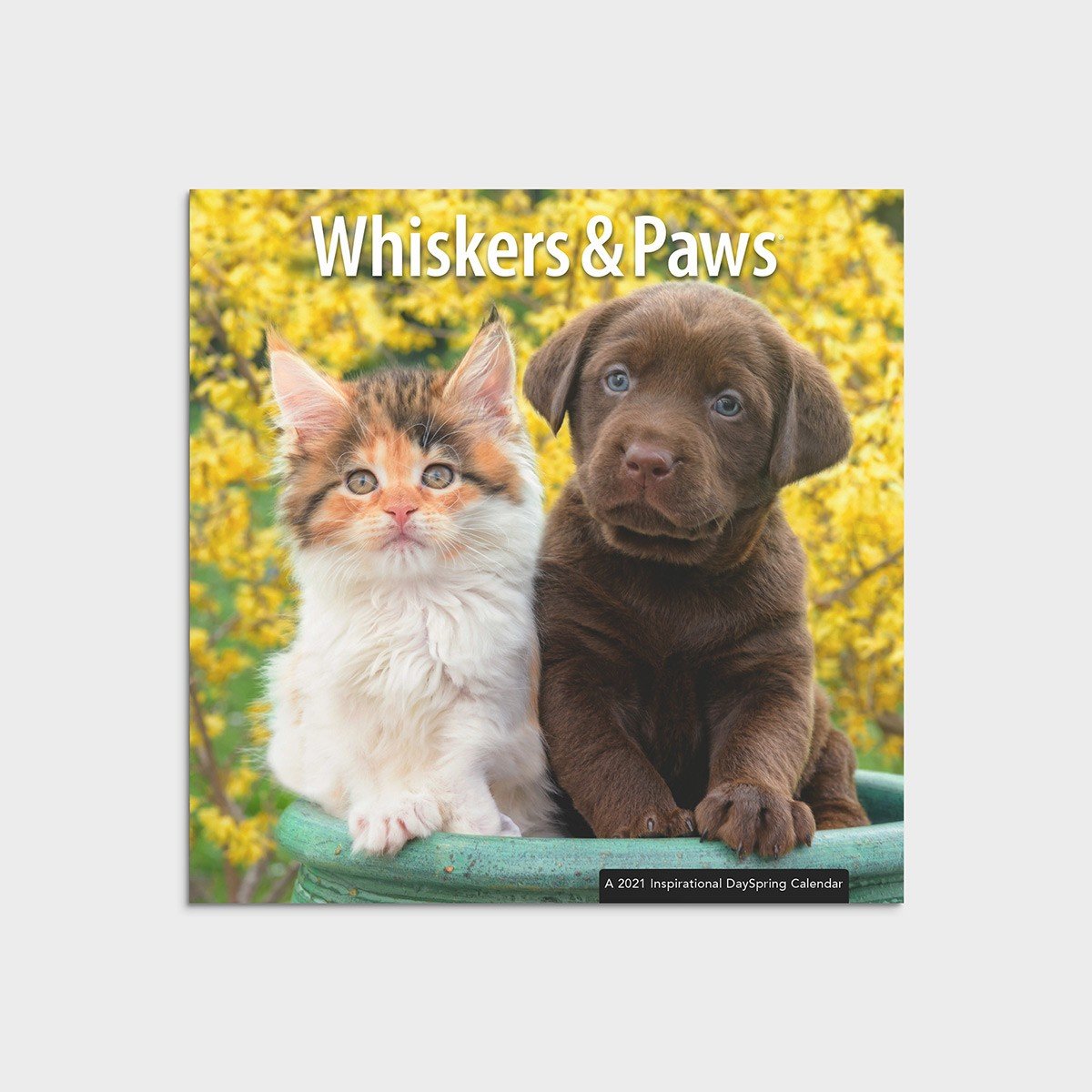 2021 Mini Calendar: Whiskers & Paws