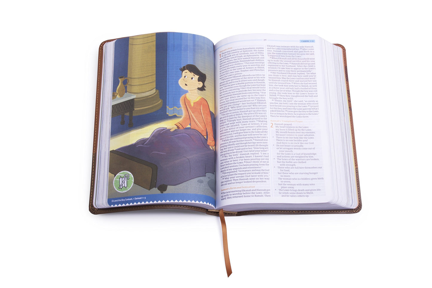 CSB Big Picture Interactive Bible, The Lion Leathertouch