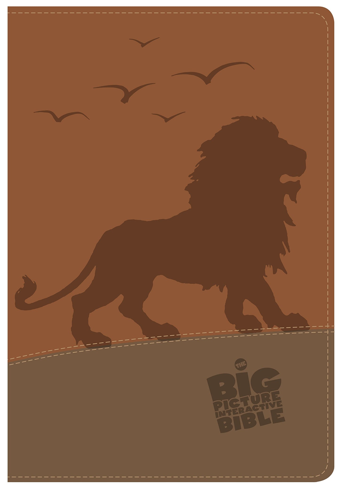 CSB Big Picture Interactive Bible, The Lion Leathertouch