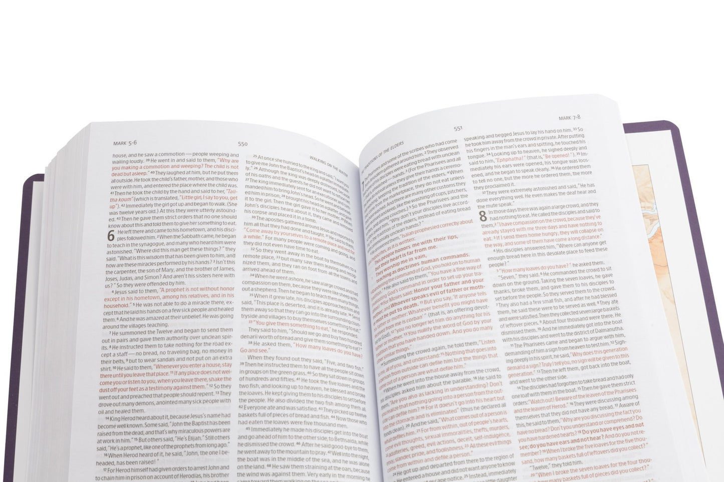 CSB Gift & Award Bible, Purple