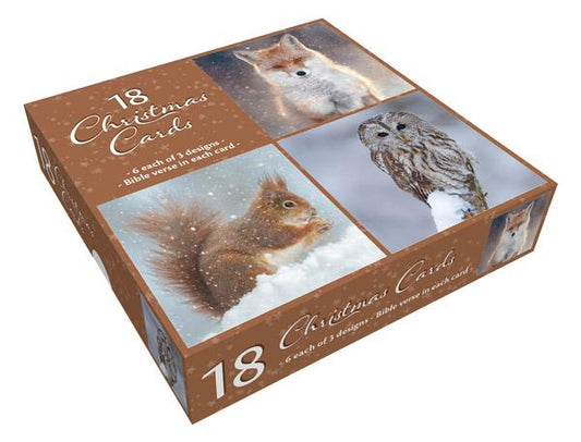 Winter Wildlife Boxed Christmas Cards (Box of 18)
