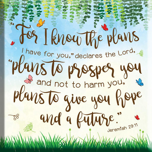 Plans to give you hope magnet