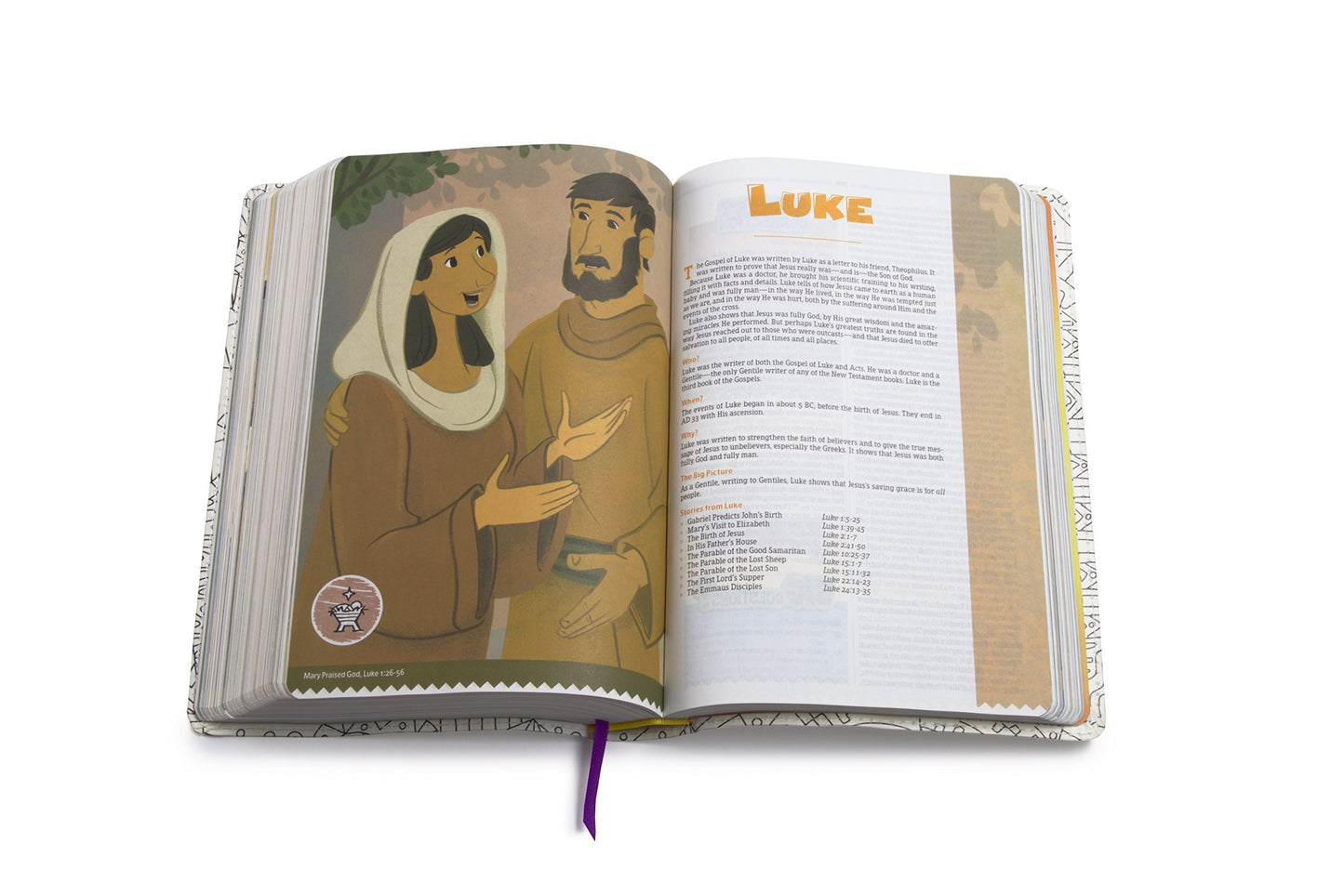 The CSB Big Picture Interactive Bible, Make-It-Your-Own Cross LeatherTouch