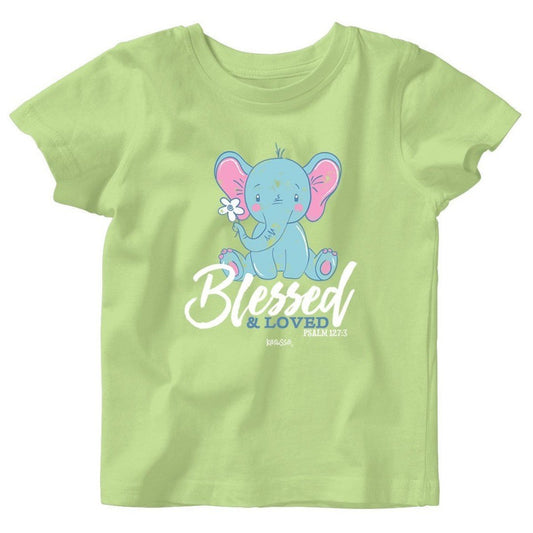 Baby Elephant Baby T-Shirt 24 Months