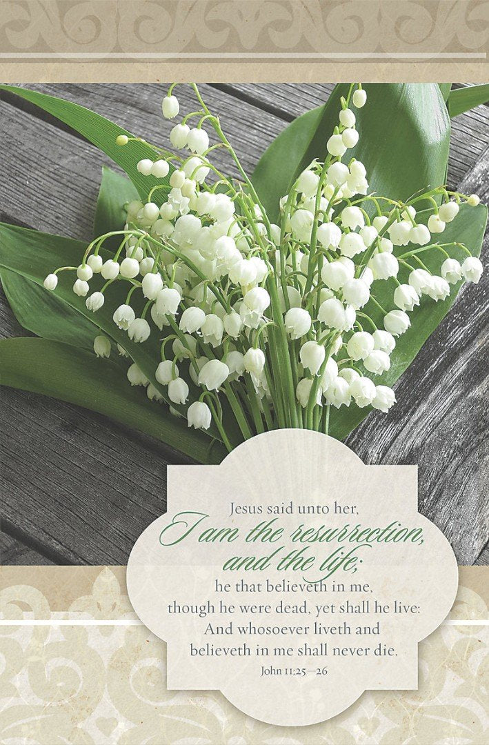 He That Believeth Bulletin (Pack of 100)