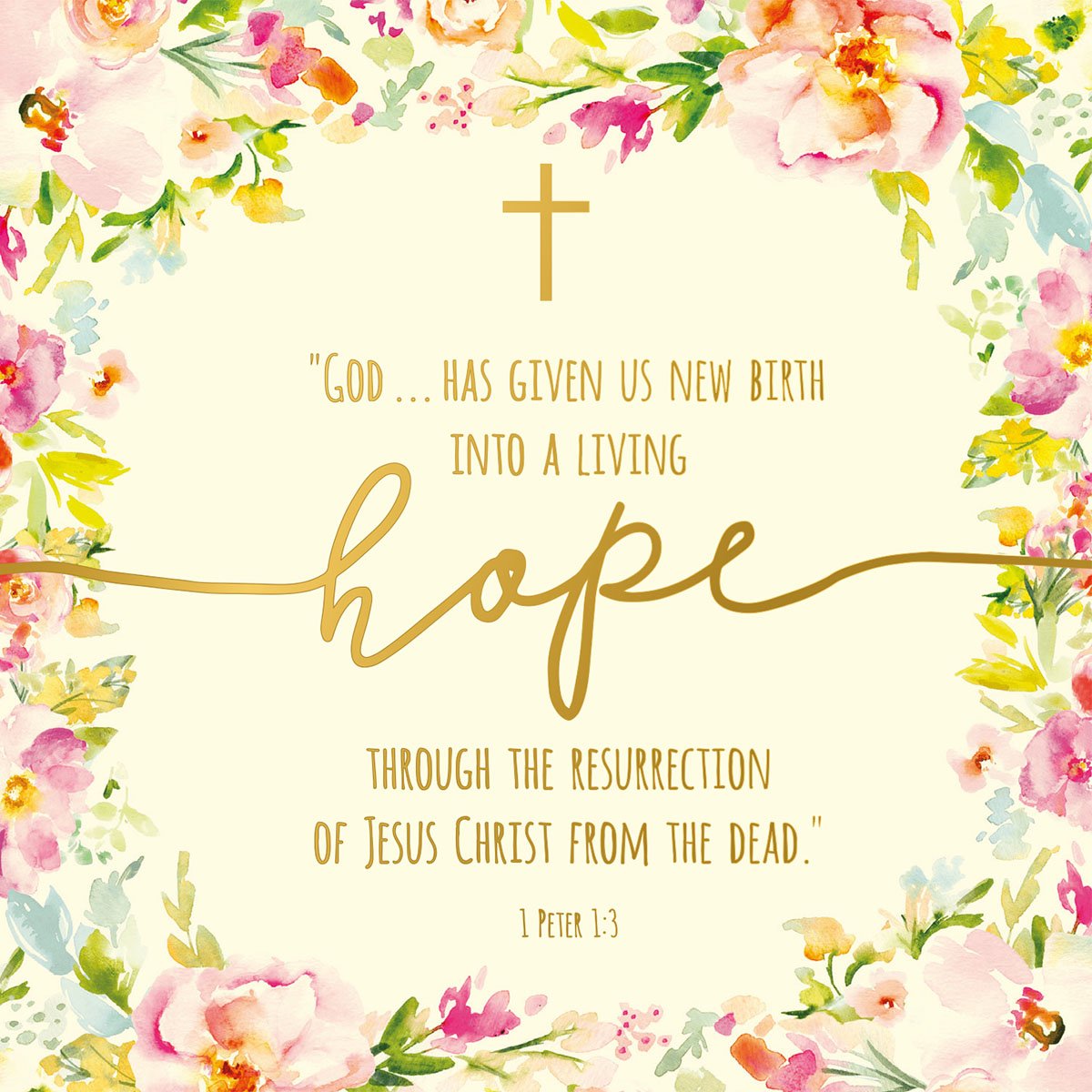 Compassion Christian Charity Easter Cards: Living Hope (Pack of 8)