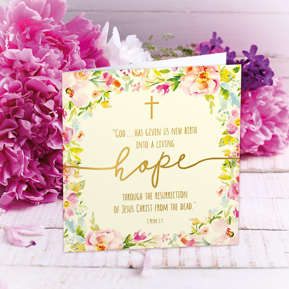 Compassion Christian Charity Easter Cards: Living Hope (Pack of 8)