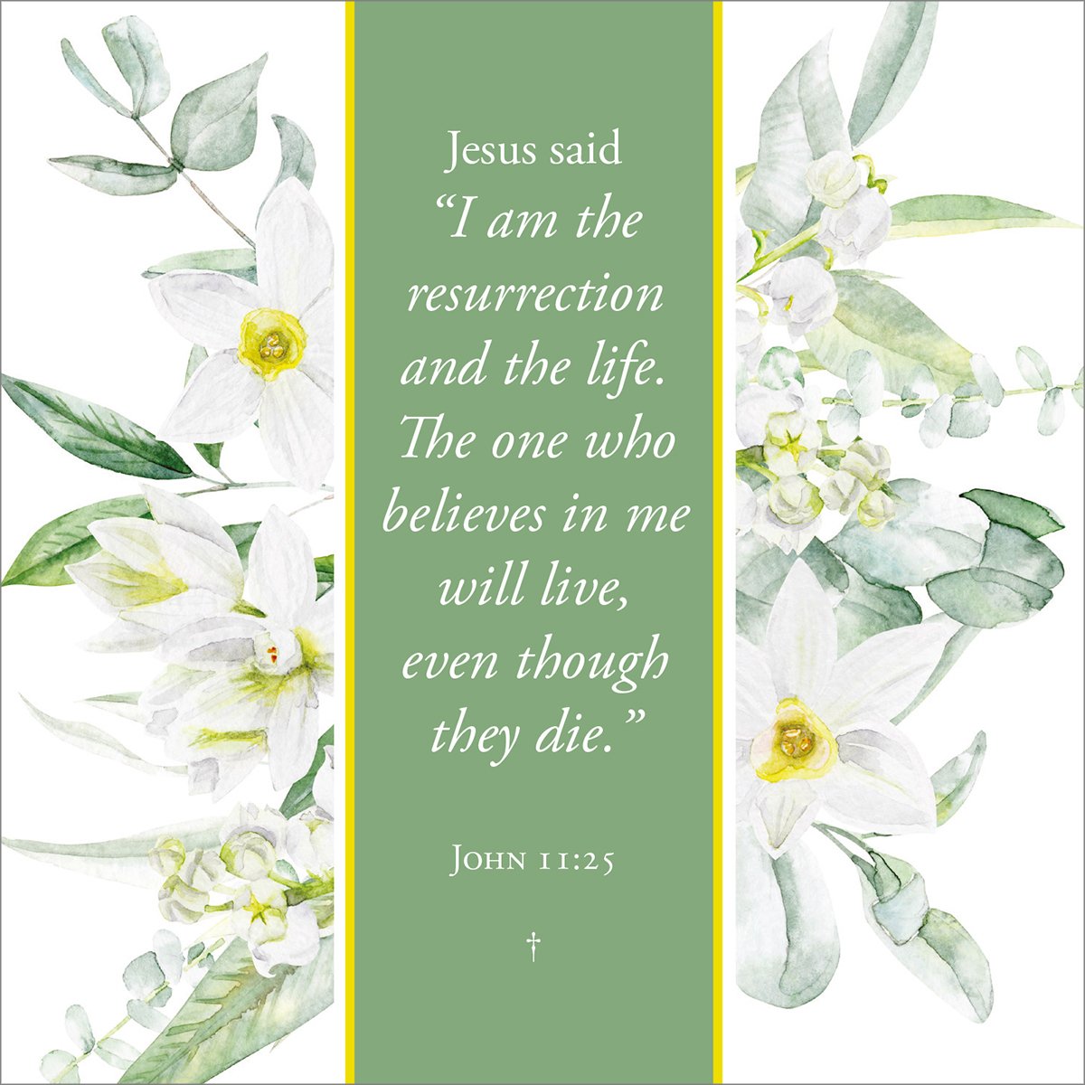 Compassion Christian Charity Easter Cards: Lilies (Pack of 8)
