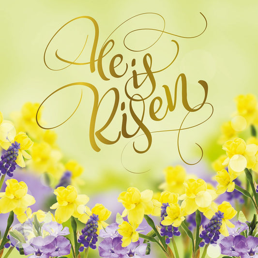 Compassion Christian Charity Easter Cards: Risen (Pack of 8)
