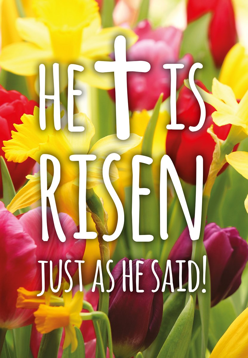 Compassion Christian Charity Easter Cards: Risen/Tulips (Pack of 8)