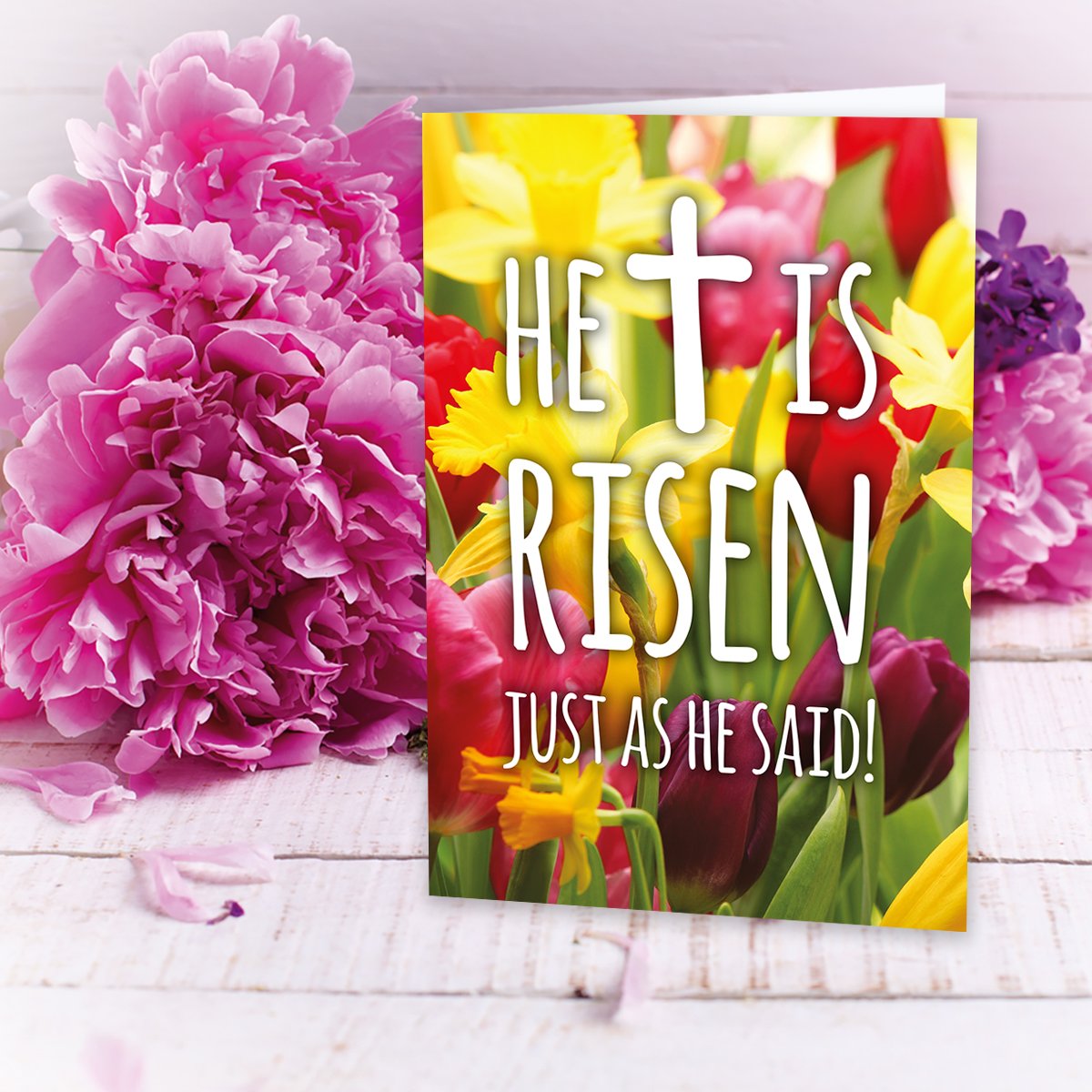 Compassion Christian Charity Easter Cards: Risen/Tulips (Pack of 8)