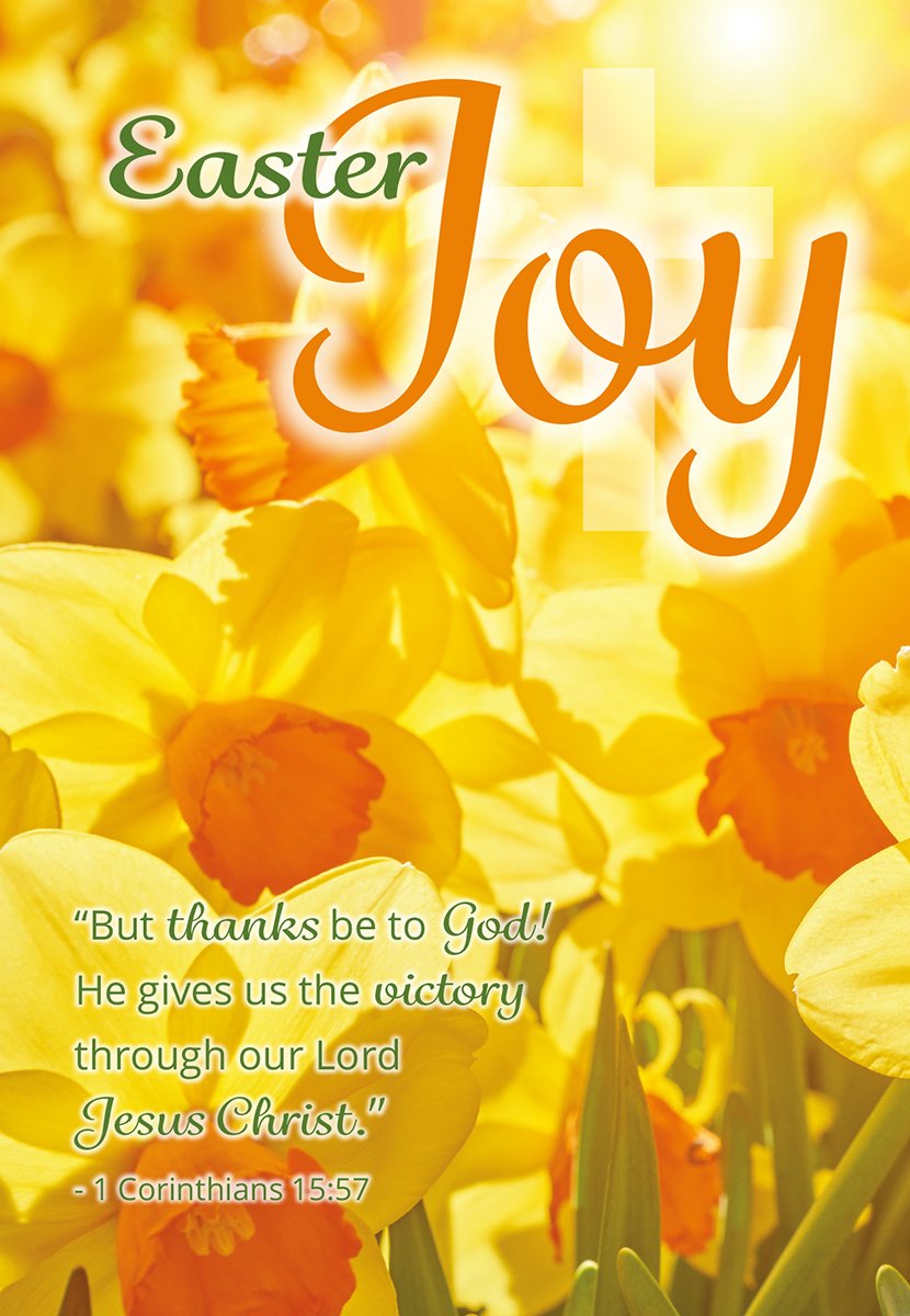 Compassion Christian Charity Easter Cards: Joy/Daffodils (Pack of 8)