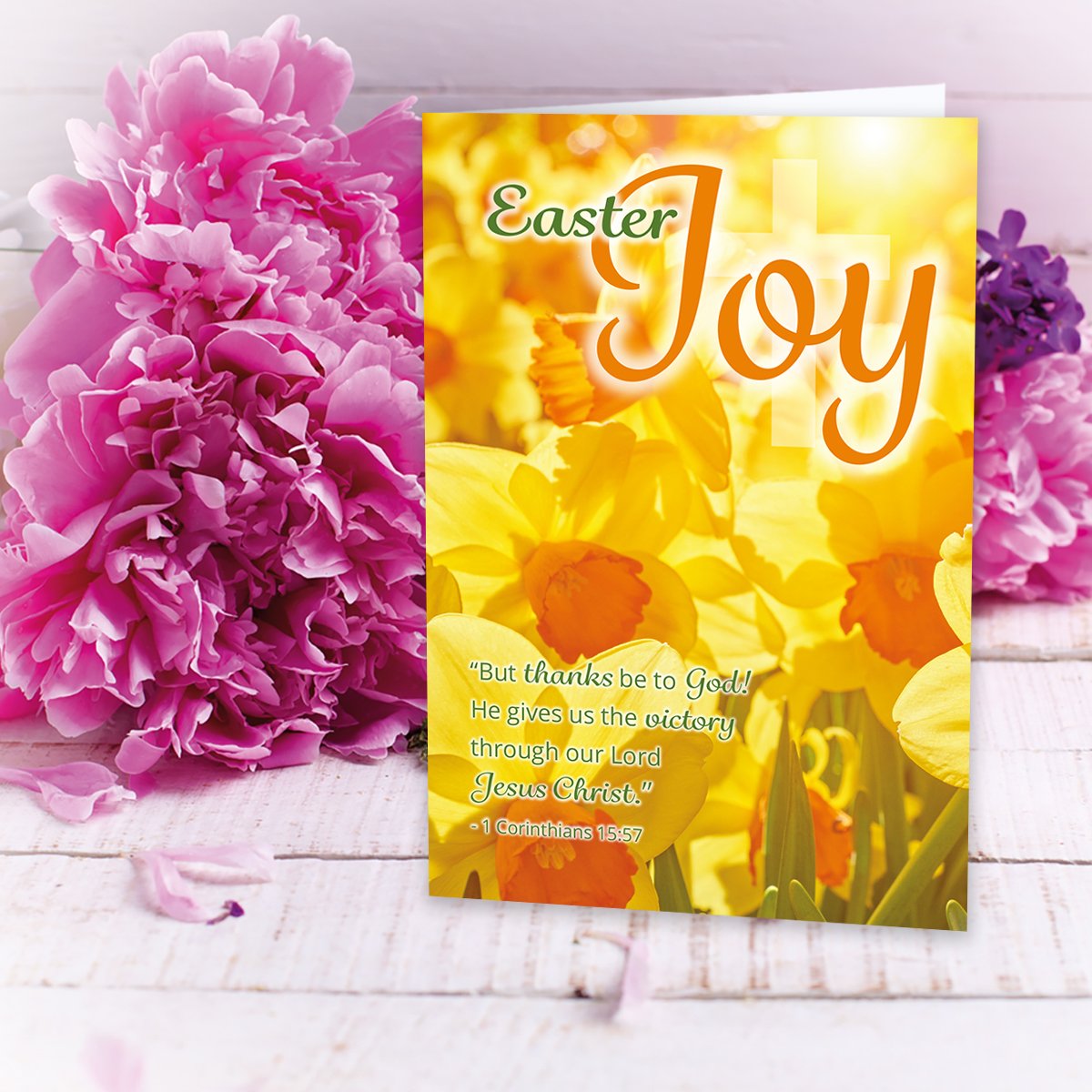 Compassion Christian Charity Easter Cards: Joy/Daffodils (Pack of 8)