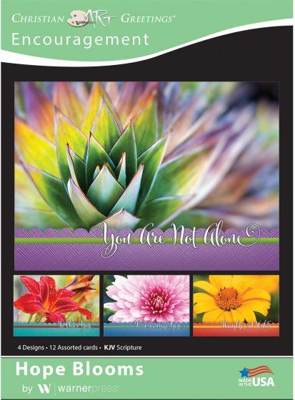 Boxed Card Encouragement - Hope Blooms (pack of 12)