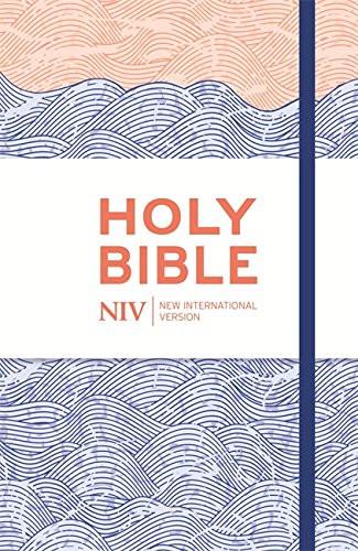 NIV Thinline Blue Waves Cloth Bible
