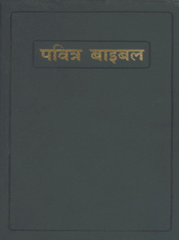 Hindi - Bible