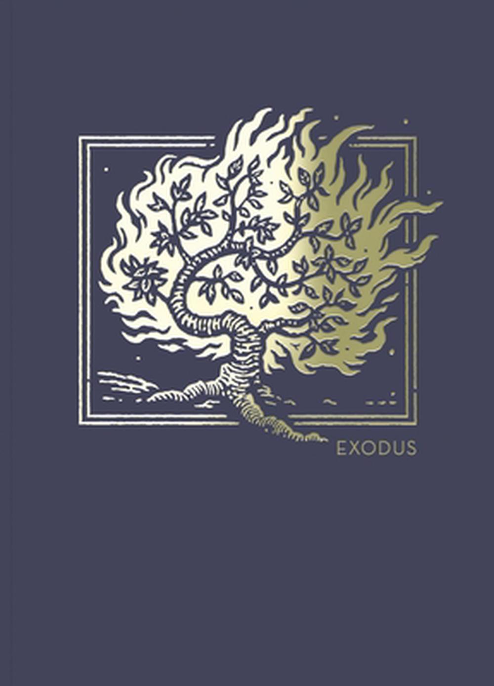 NET Abide Bible Journal: Exodus