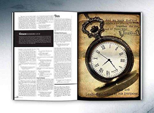 NLT The Word New Testament