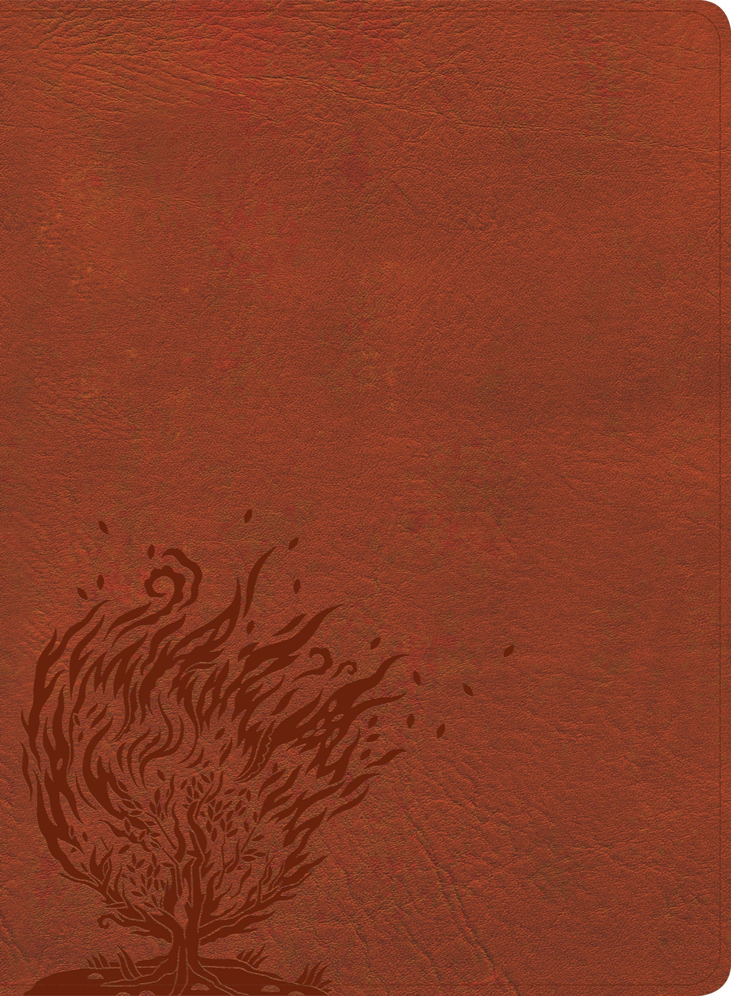 CSB Experiencing God Bible, Burnt Sienna LeatherTouch