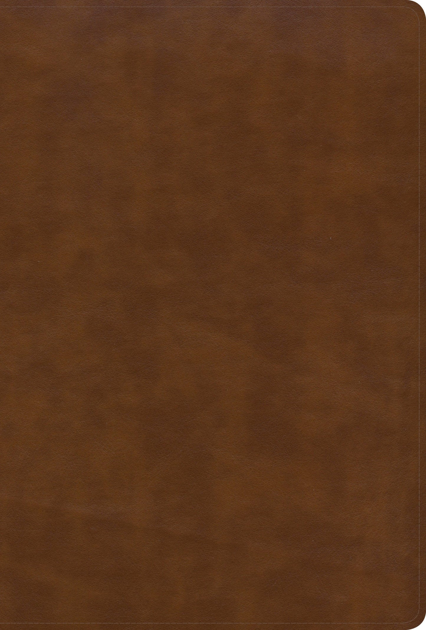 KJV Large Print Ultrathin Reference Bible, British Tan LeatherTouch, Black-letter Edition, Indexed