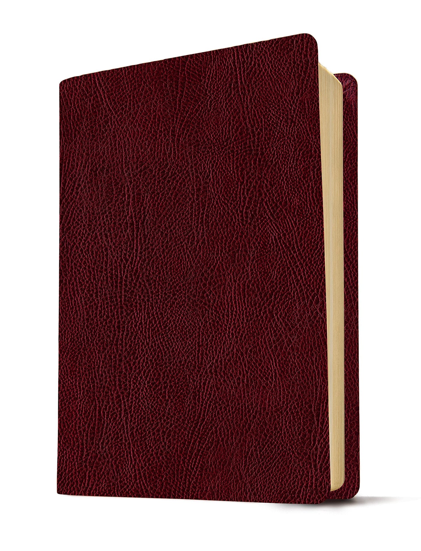 NLT Life Application Study Bible Large Print, Indexed, 2nd Edition