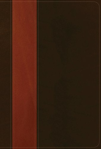 NLT Life Application Study Bible Personal Size, Brown/Tan