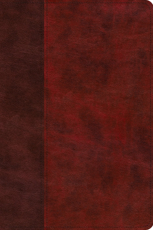 ESV Story of Redemption Bible, Duo-Tone
