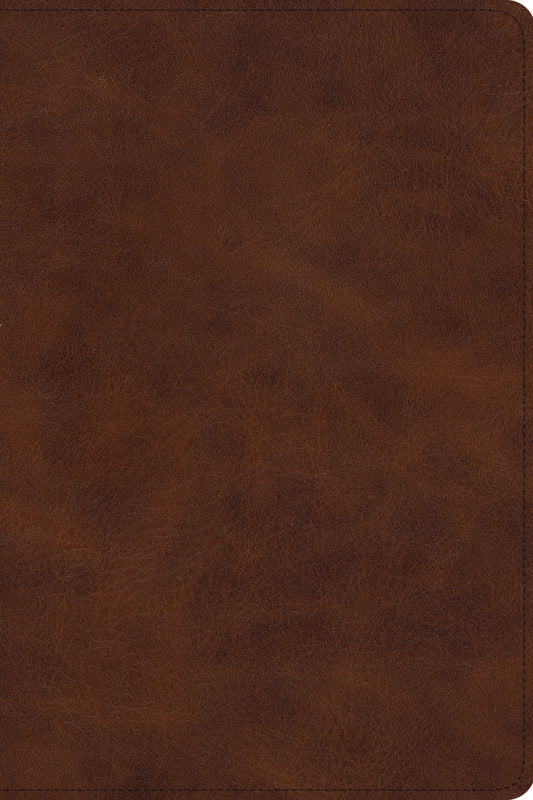 ESV Story of Redemption Bible
