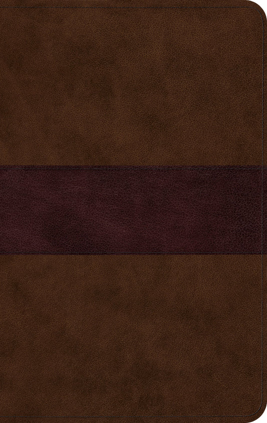 ESV: Large Print, Thinline Bible, TruTone, Chocolate/Plum