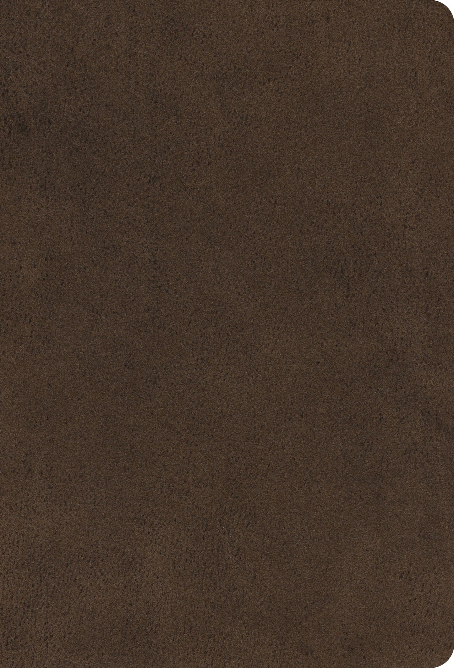 ESV Large Print Compact, Bible, Microsuede, Brown