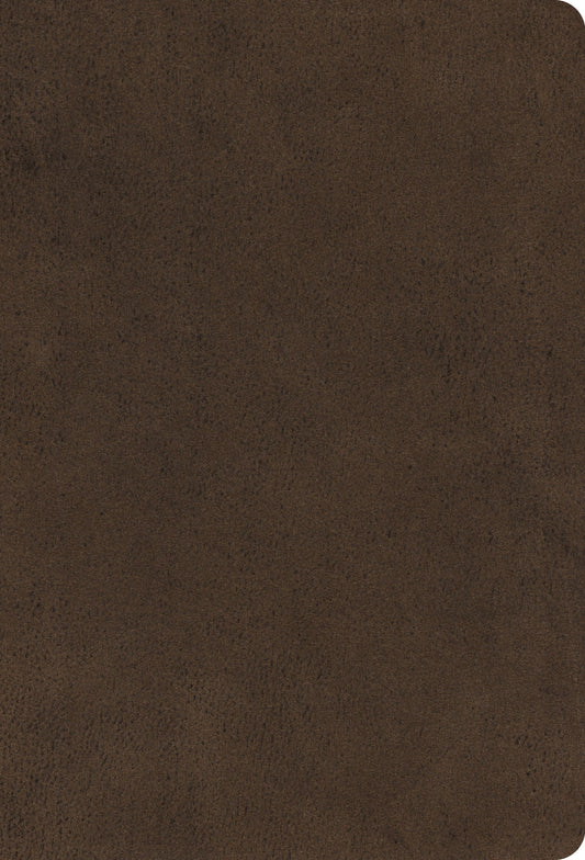 ESV Large Print Compact, Bible, Microsuede, Brown