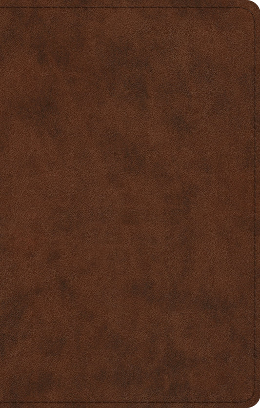 ESV UltraThin Bible (TruTone, Brown)