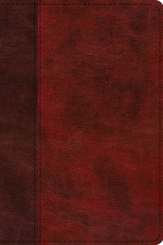 ESV Journaling New Testament, Inductive Edition Imitation Leather