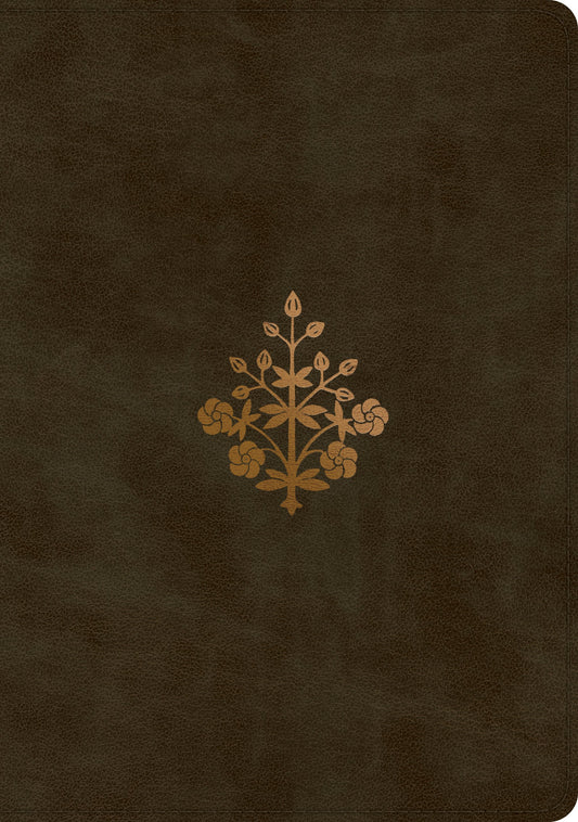 ESV Single Column Journaling Bible, Large Print, Olive