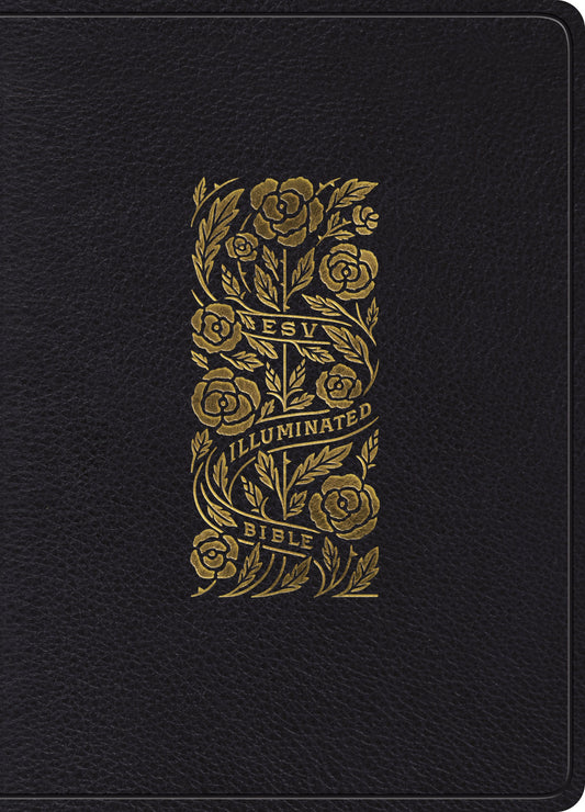 ESV Illuminated Bible, Art Journaling Edition (Black)