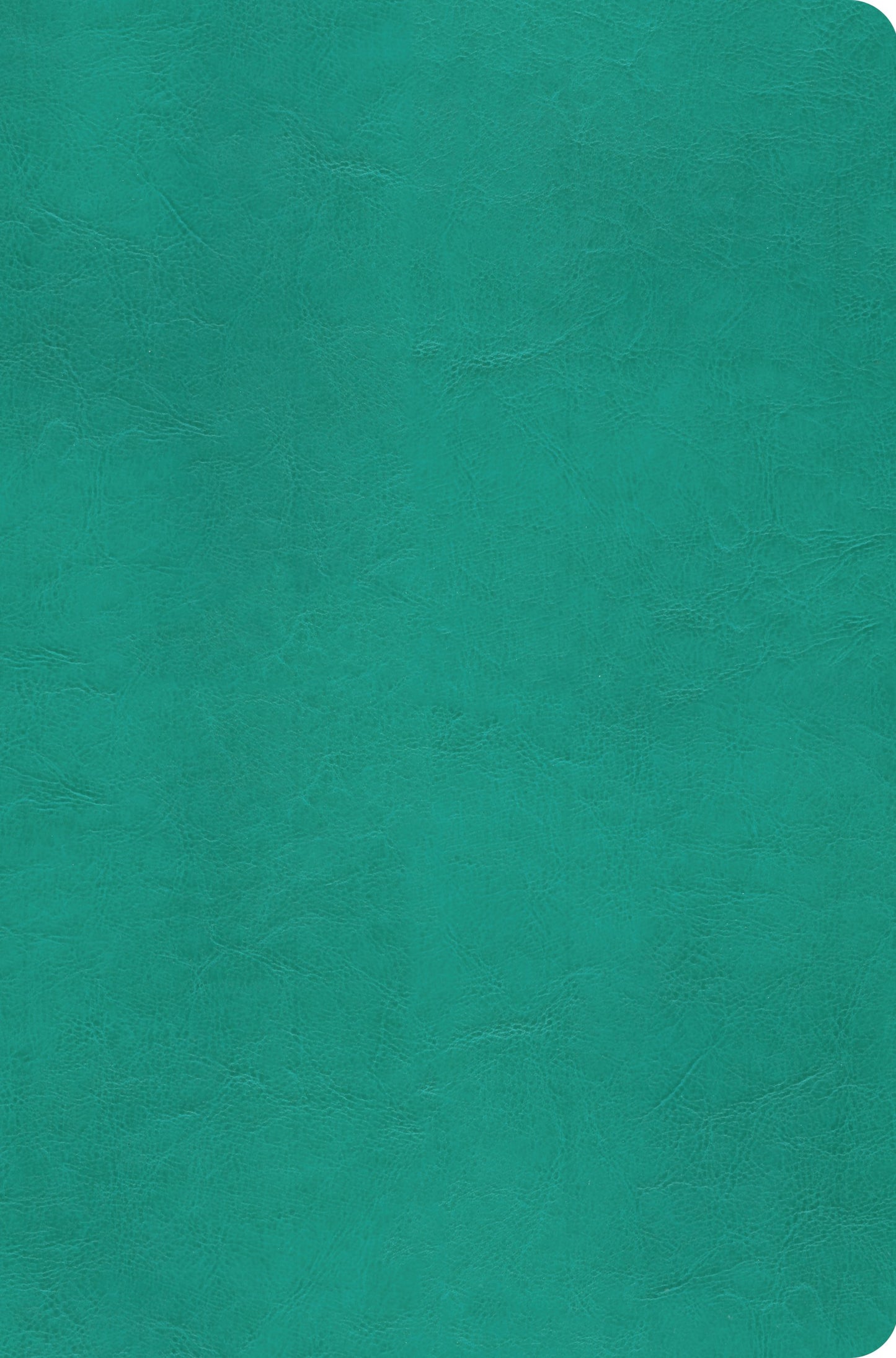 ESV Value Compact Bible, TruTone, Turquoise