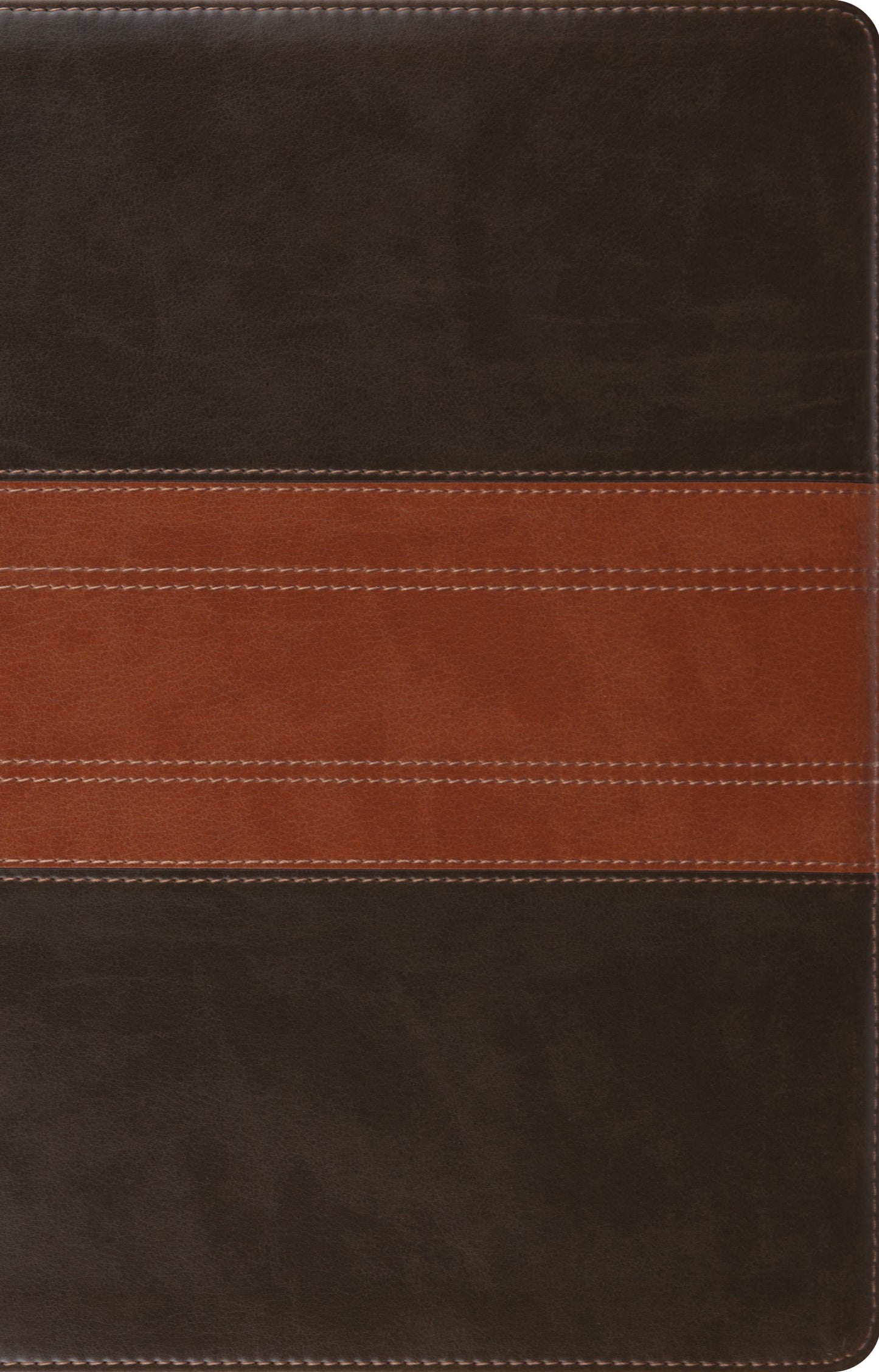 ESV Large Print Thinline Reference Bible, Forest/Tan