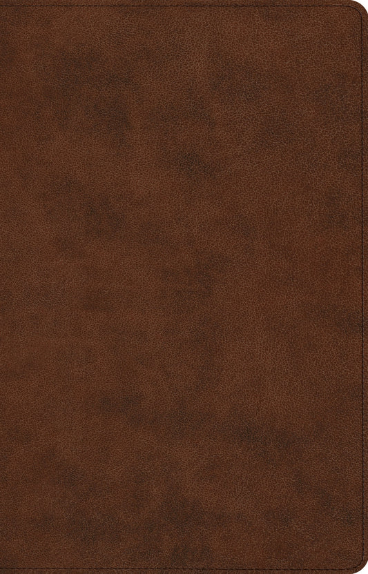 ESV Large Print Thinline Reference Bible, TruTone, Brown
