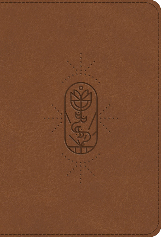 ESV Kid's Bible, Compact, TruTone, The True Vine