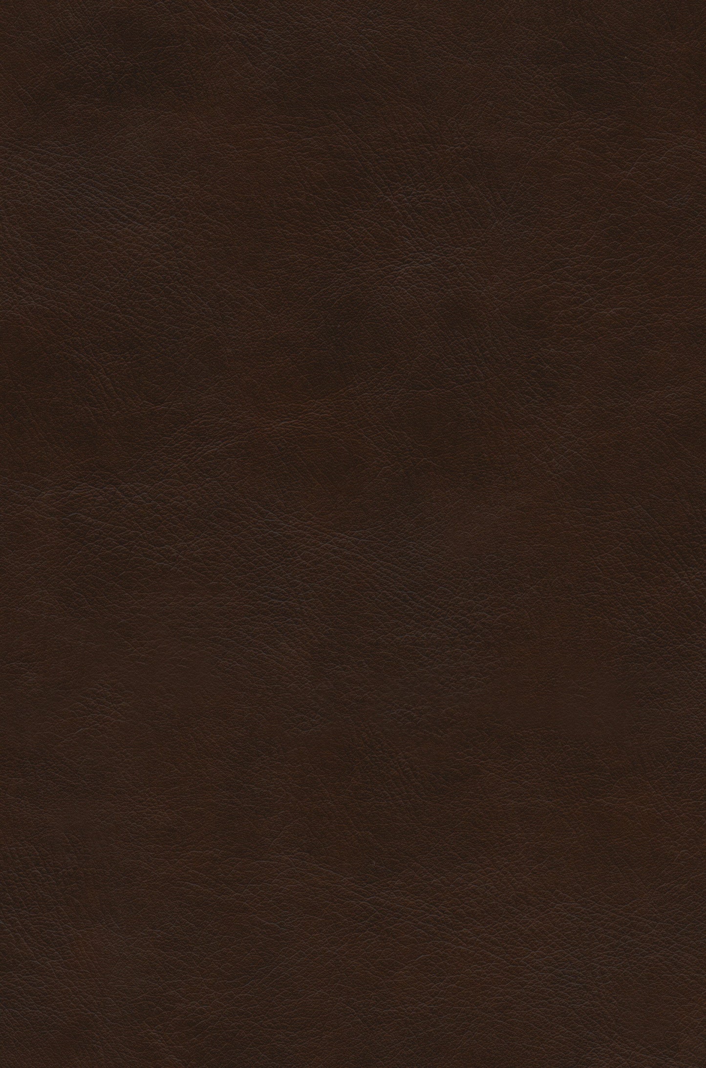 ESV Preaching Bible (TruTone over Board, Deep Brown)