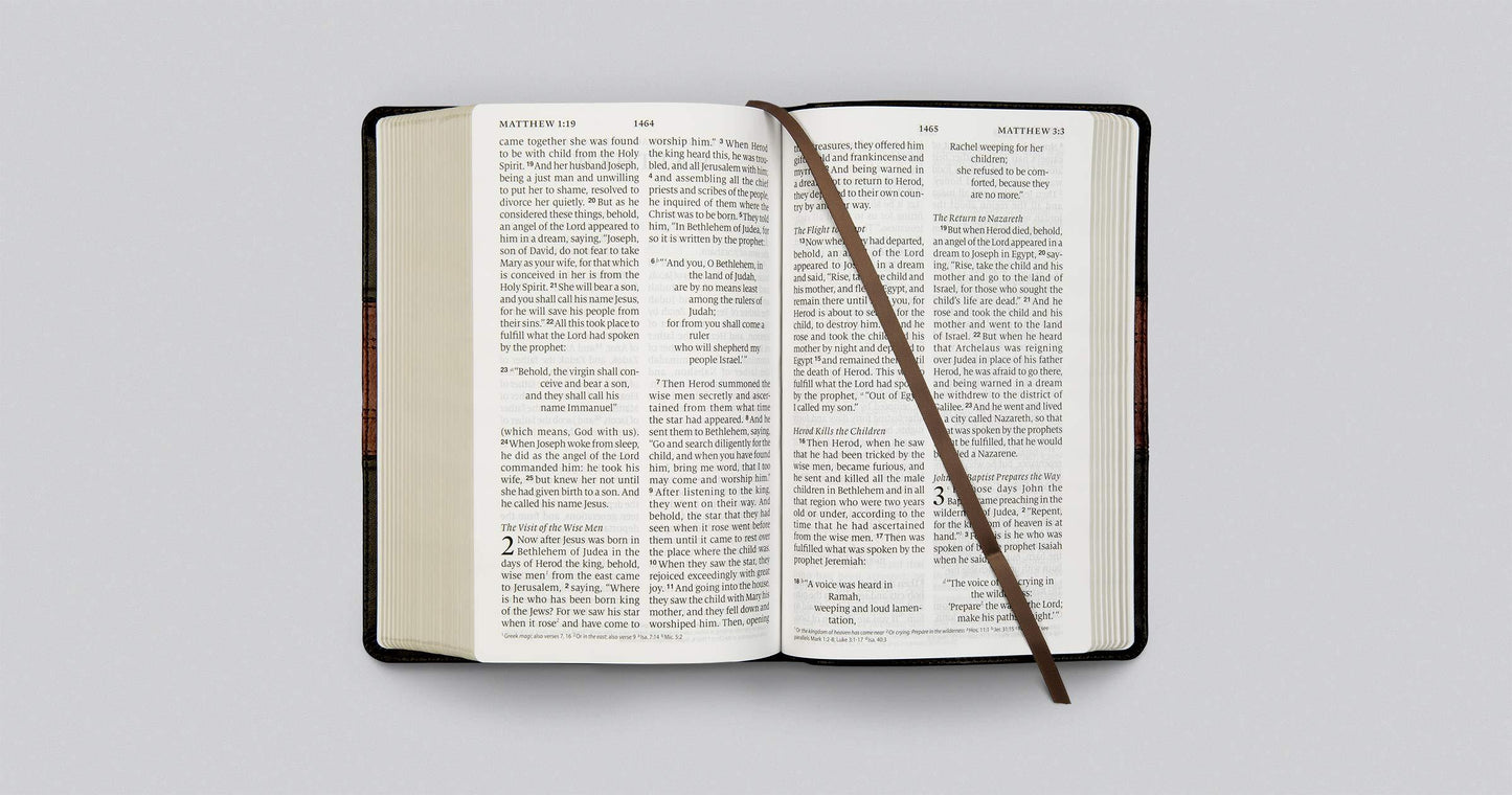 ESV Large Print Personal Size Bible (Buffalo Leather, Deep B