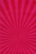 KJV Illustrated Study Bible For Kids Pink LeatherTouch - N/A - Re-vived.com
