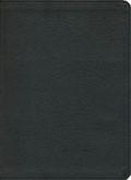 KJV Study Bible Mantova Black LeatherTouch - N/A - Re-vived.com