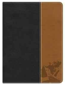 Apologetics Study Bible for Students, Black/Tan LeatherTouch - McDowell, Sean - Re-vived.com